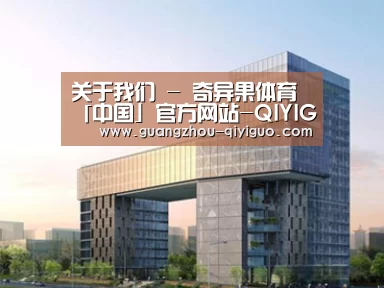 案例展示四