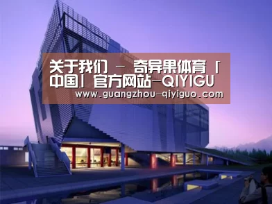 案例展示六